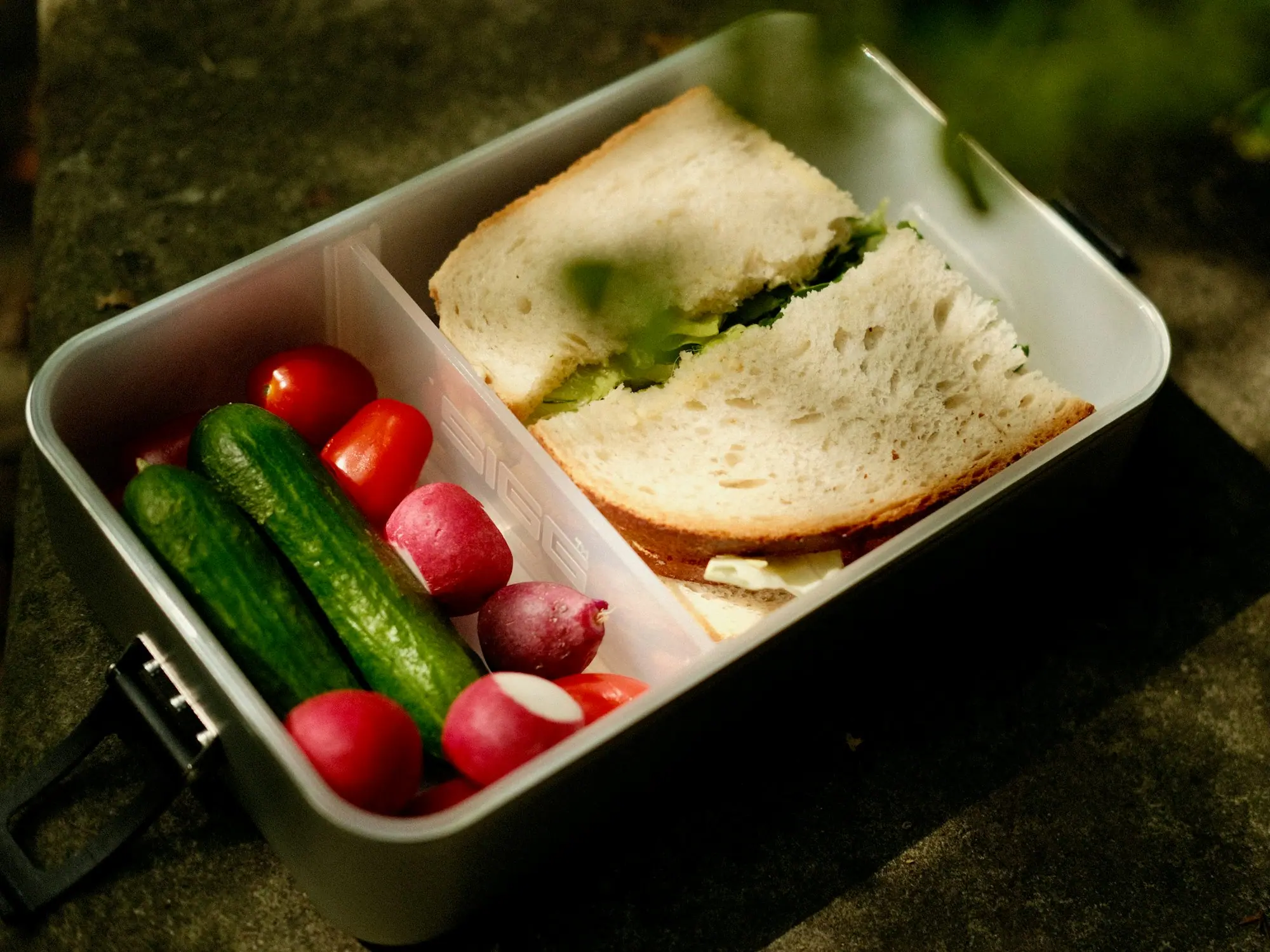 A packed lunchbox with a sandwich, cucumbers, tomatoes and radishes
